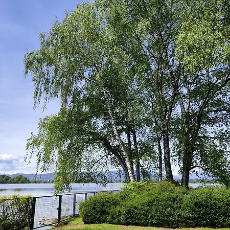 Faggio Rosso, Tranquillita In Riva Al Villa