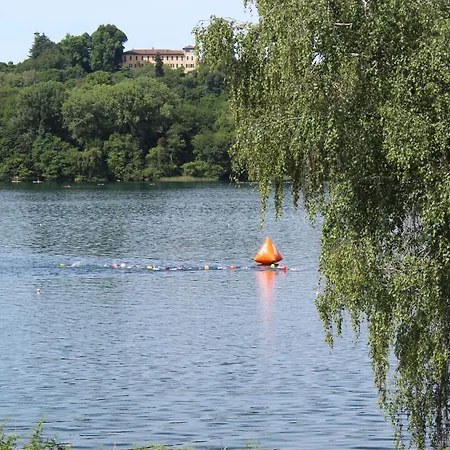 Faggio Rosso, Tranquillita In Riva Al