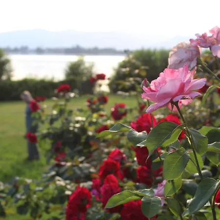 Вилла Faggio Rosso, Tranquillita In Riva Al *