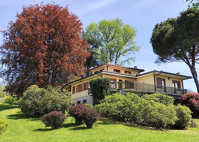 Faggio Rosso, Tranquillita In Riva Al Travedona