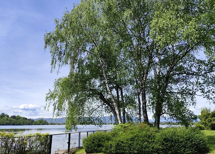 Faggio Rosso, Tranquillita In Riva Al 别墅